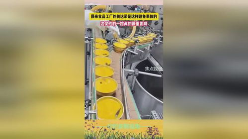 原来食品工厂传送带是这样避免事故的